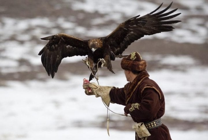 Фото ©REUTERS/Shamil Zhumatov