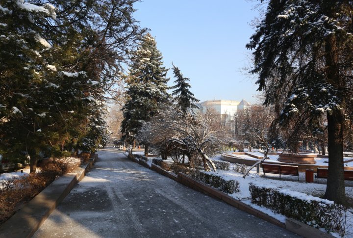 The park near the Old Square. ©Yaroslav Radlovsky