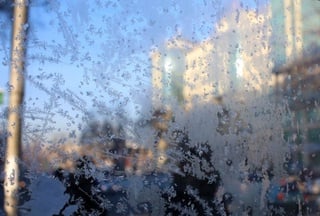 Frost flowers at a bus station. ©Yaroslav Radlovsky