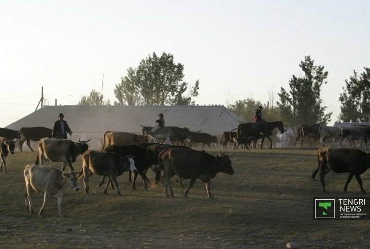 Evening view. ©Nurgisa Yeleubekov