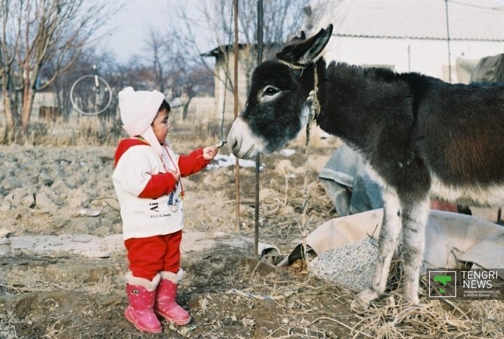 Would you like a candy? ©Nurgisa Yeleubekov