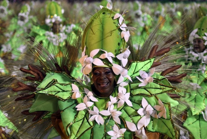 Reveller of the Sao Clemente samba school. ©Reuters