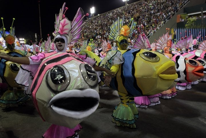 Reveller of the Grande Rio samba school. ©Reuters