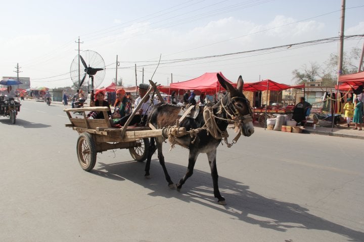 A cart with air conditioning from a local craftsmen. ©Ordenbek Mazbayev