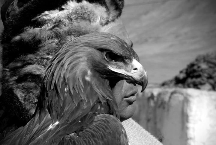 Common face of the hunter – a man and a bird. ©Rustem Rakhimzhan