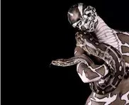 The 'Ani-Human' project