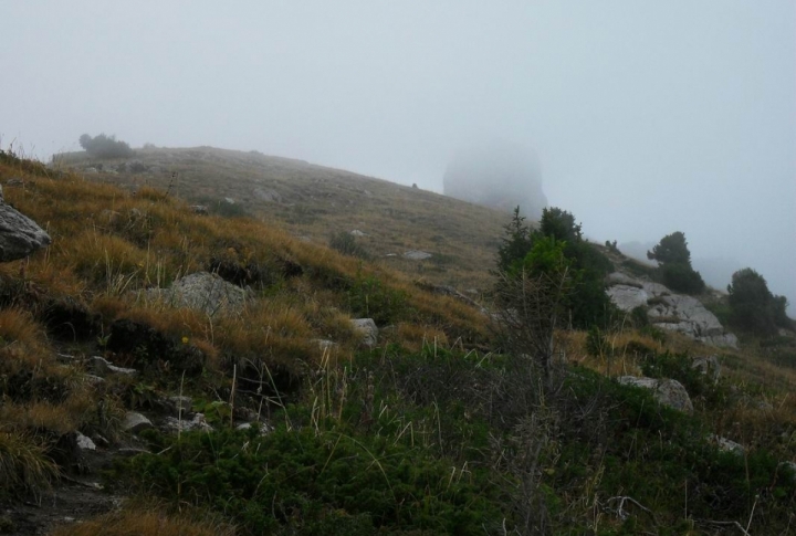 The ones wishing for a bigger load, can ascend to one of the nearest tops, for example Three Brothers. Two hours of walk up Kok-Zhailyau and the first Brother appears from the clouds. Photo by Timur Ginatullin©