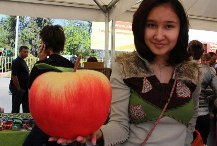 Apple fest in Almaty