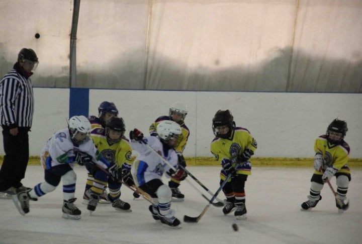 Junior-Barys. Photo by Bauyrzhan Kairbekov©