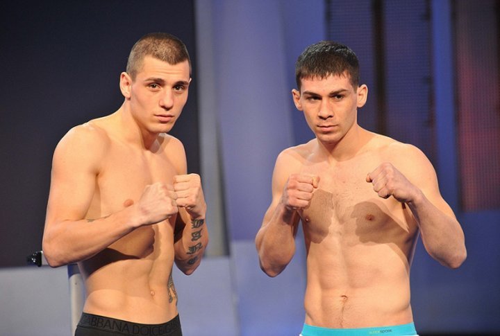 Lightweight category: Branimir Stankovic vs Roman Schegrinov. Photo courtesy of WSB official website