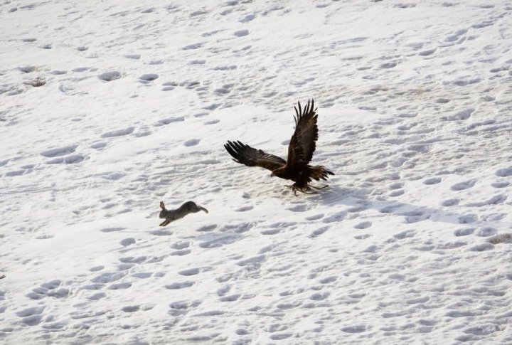 ©REUTERS/Shamil Zhumatov