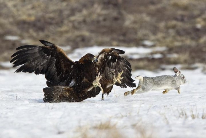 ©REUTERS/Shamil Zhumatov