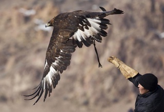 ©REUTERS/Shamil Zhumatov