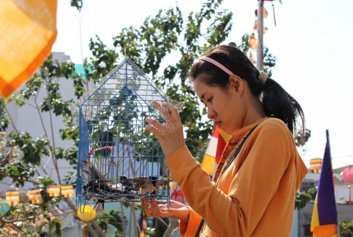 One can let a bird out of the cage for 10 thousand dongs ($0,5). Photo by Roza Yessenkulova©