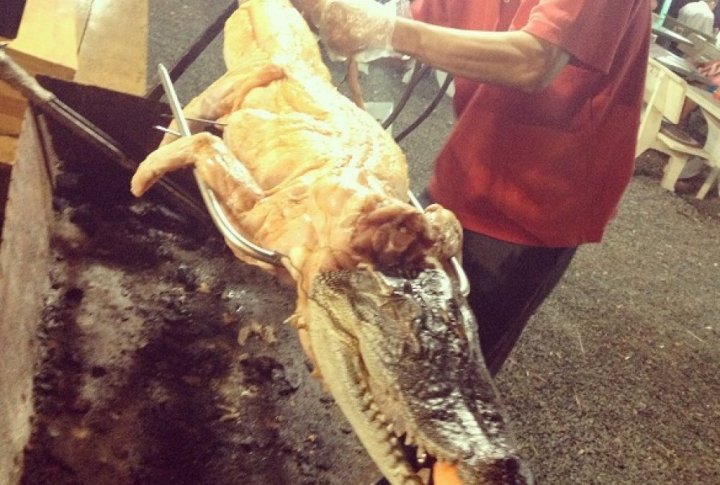 Crocodile on a chargrill. Photo by Roza Yessenkulova©