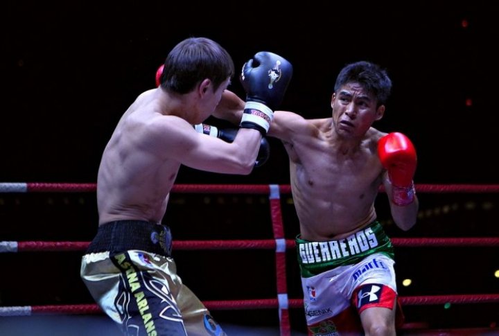 Photo courtesy of worldseriesboxing.com