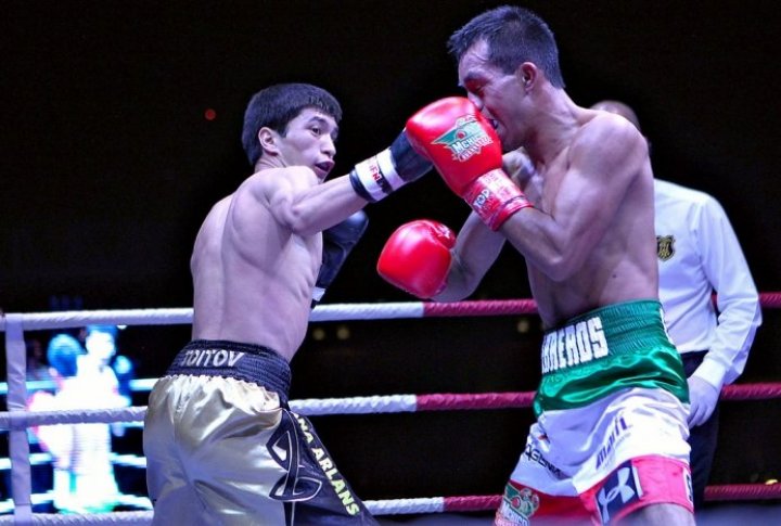 Photo courtesy of worldseriesboxing.com