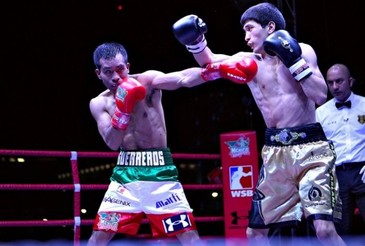 Photo courtesy of worldseriesboxing.com