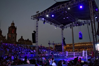 Photo courtesy of worldseriesboxing.com