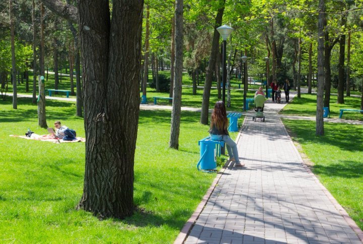 Sunday rest under the trees and the sun. Photo by Yaroslav Radlovskiy©