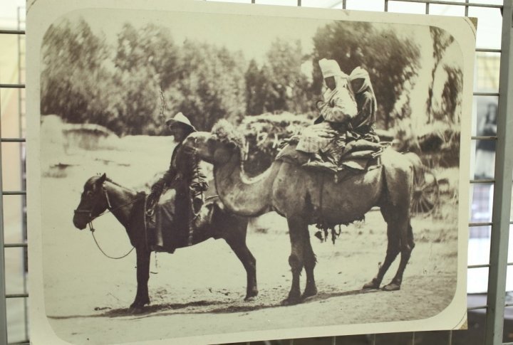 Exhibition of photos archives. ©Yaroslav Radlovsky