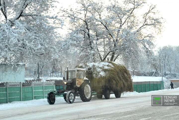 Мал азығы,ол жан азығы ©Нұрғиса Елеубеков