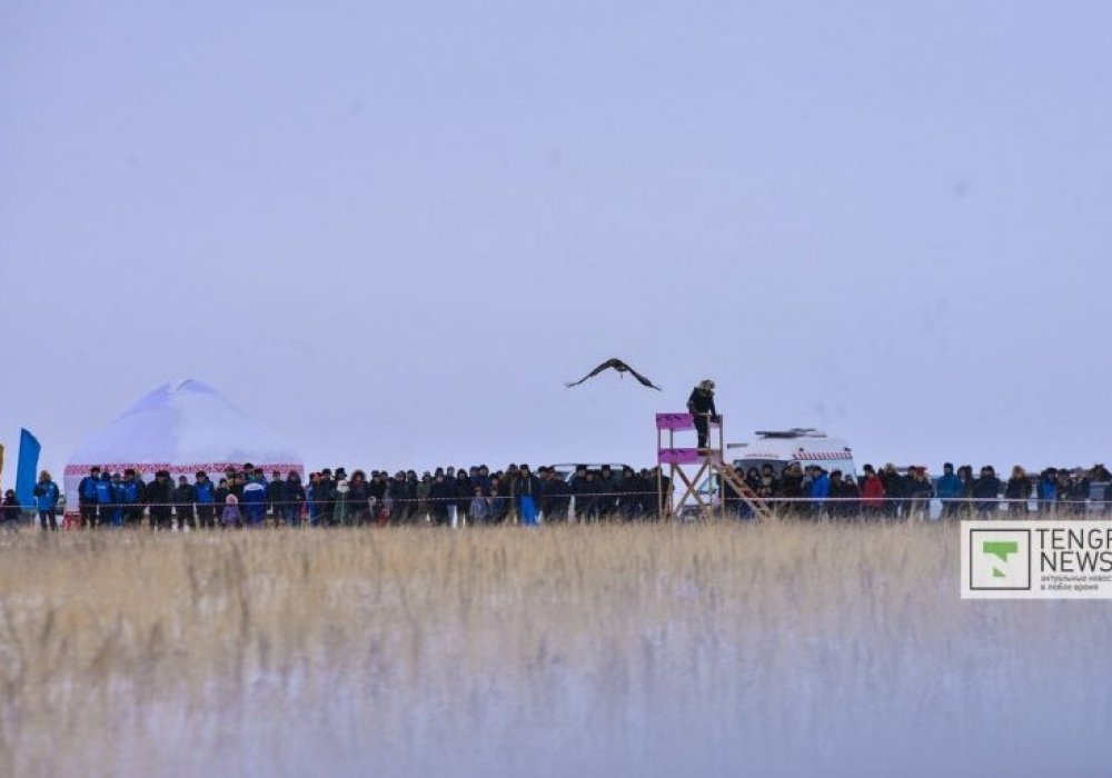 Құс айналаны жақсы көруі үшін биіктен ұшырылды. © Тұрар Қазанғапов