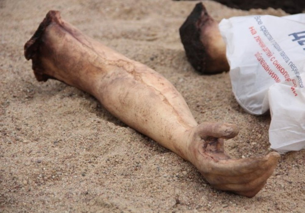 Жолдан мынадай деректемелерді кездестіруге болды