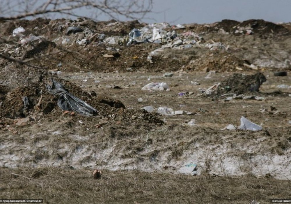 Қосшы ауылына кіретін жерде қоқысқа толы аумақты көруге болады.