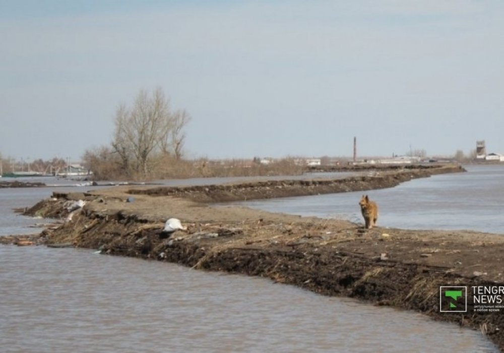 <p>Бөгеттің мына бөлігі бүлінбеген.</p>