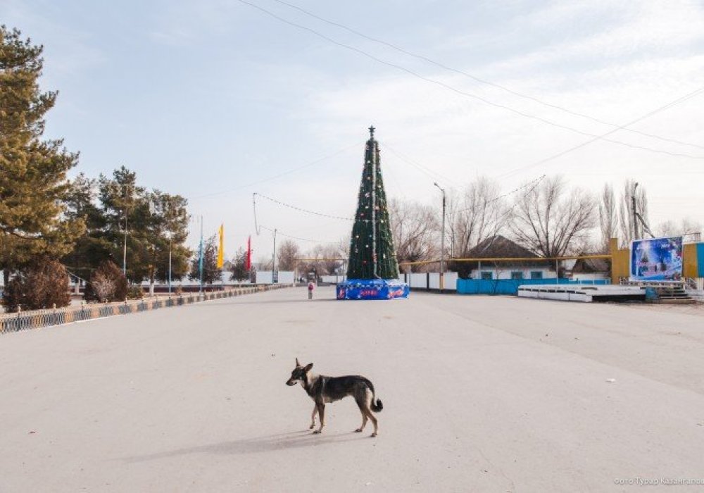 <p>Менің айтпағым Шу қаласының тұрғындарының Шу жазығында өндірілетін есірткі тауарына еш қатыcы&nbsp;жоқ, өміріне де келіп-кетері жоқ.</p>