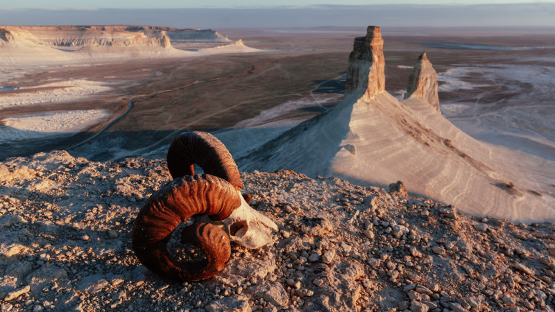 Былайғы кискаға қараңыз