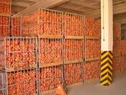 В Кызылорде откроется первый маслобойный цех