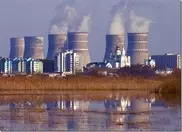 Реактор Ровенской АЭС остановила птица