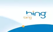 Доля поисковика Microsoft Bing увеличилась за счет Google