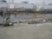 В морской воде возле  Фукусимы зарегистрирован самый высокий уровень радиации