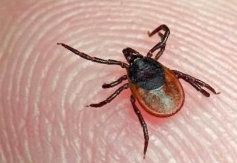 Фото с сайта mr7.ru