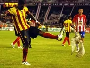 Убивший сову футболист искупит свою вину в зоопарке