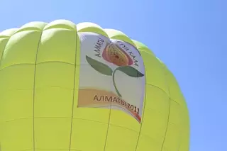 ФОТО: В 2011 году в Алматы распустятся 10 миллионов цветов