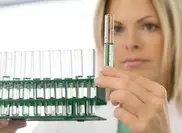 Кишечная палочка в огурцах из Испании добралась до Чехии и Австрии