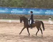 Казахстанцы лидируют на чемпионате Центральной Азии по конному спорту