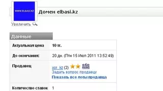 Житель Павлодара продает домен Elbasi.kz за 10 тенге