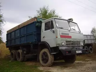 В Карагандинской области "КамАЗ" сбил насмерть пастушку и стадо баранов