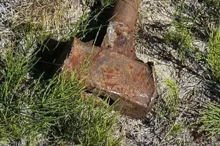 Главу крестьянского хозяйства в Алматинской области убил пастух