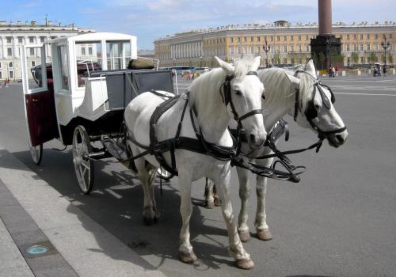 Фото с сайта natalianakonechnaja.com