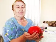 Актюбинка вырастила помидор весом в килограмм