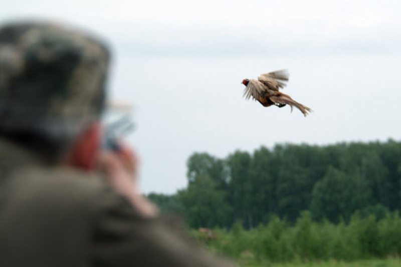 Фото с сайта ihunter.msk.ru