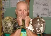 Мировой рекордсмен по гиревому спорту из Атырау получил орден "Крылатый лев"