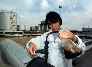 Назарбаев принял президента работающей на Каражанбасе китайской компании 