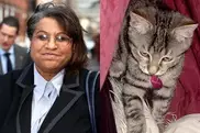 Жену британского депутата осудили за кражу котенка